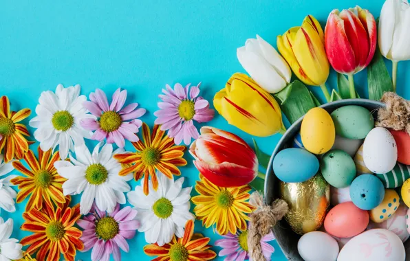 Flowers, chamomile, spring, colorful, Easter, tulips, chrysanthemum, flowers