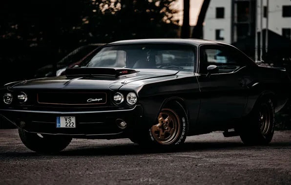 Car, Dodge, sky, trees, black cars, vehicle, muscle cars, Dodge Challenger RT