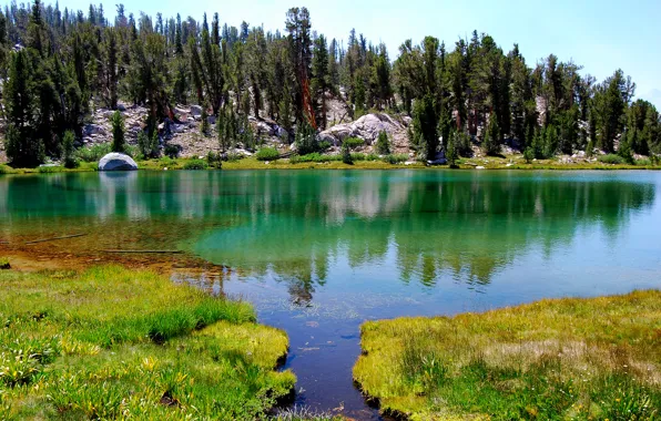 The sky, grass, trees, lake, rocks