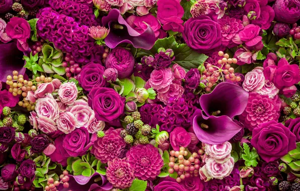Roses, Calla lilies, dahlias