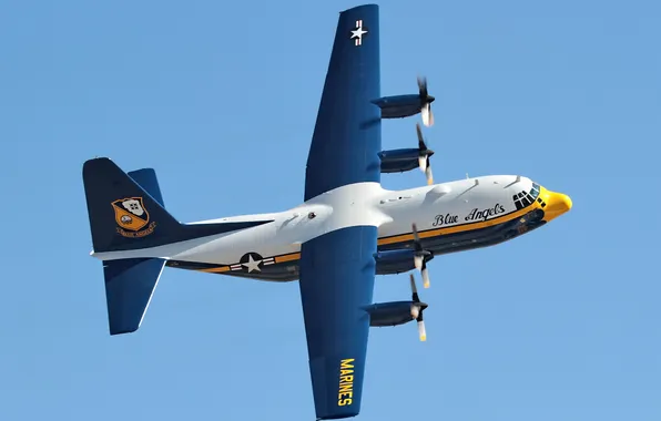 The sky, aviation, the plane, С130