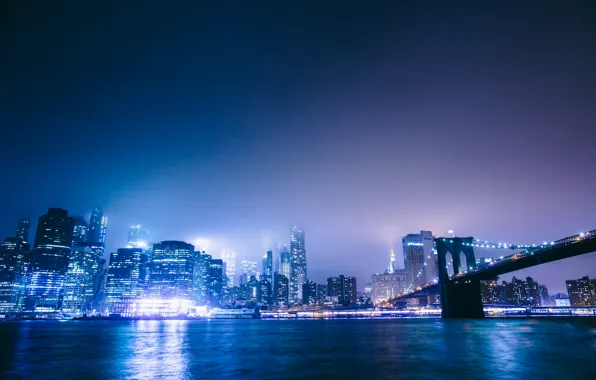 Picture bridge, the city, lights, New York City, Brooklyn Bridge Park
