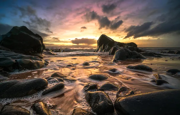 Sea, rocks, coast, the evening