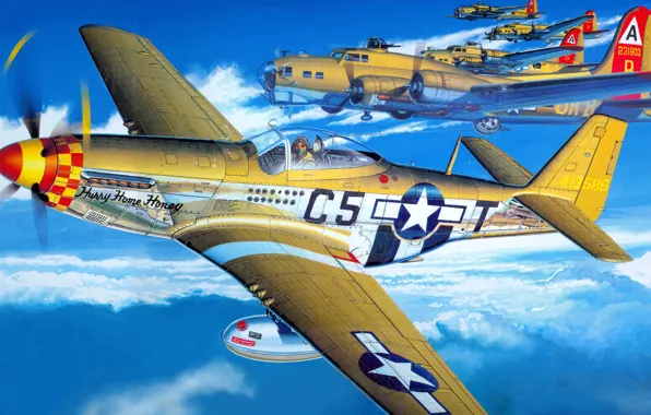 Figure, Mustang, art, North American, B-17, P-51D