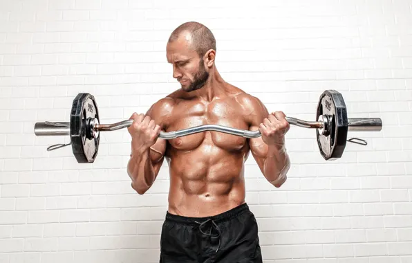 Pose, figure, muscle, muscle, rod, press, bodybuilder, abs