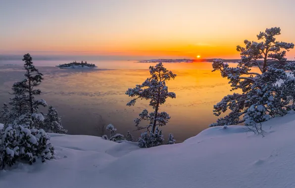 Picture winter, the sun, snow, trees, landscape, nature, lake, dawn