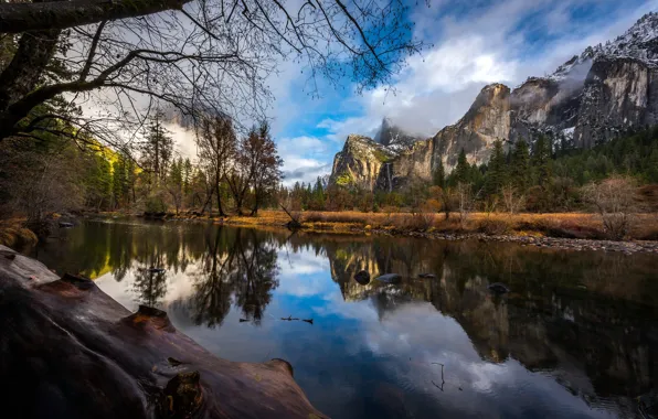 Forest, the sky, water, clouds, trees, mountains, branches, reflection