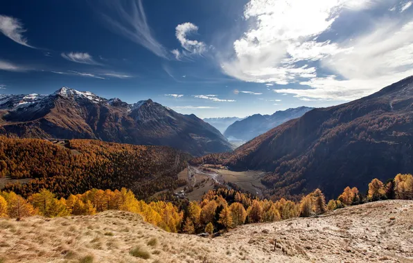 Switzerland, Autumn, Golden Autumn, Alp Grüm