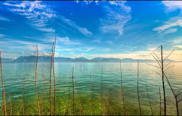 Picture the sky, water, clouds, mountains, branches, surface, dal, horizon