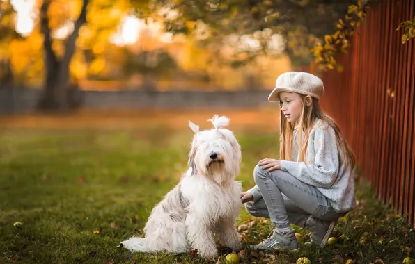 Autumn, light, mood, the fence, dog, friendship, girl, white