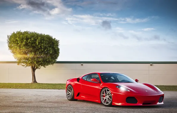 Picture the sky, the sun, clouds, red, tree, F430, Ferrari, red