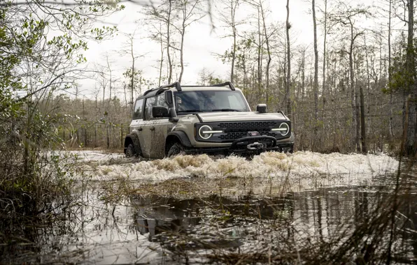 Picture Ford, Water, Trees, SUV, SUV, Sport utility vehicles, Sport utility vehicle, Ford Bronco Everglades special …