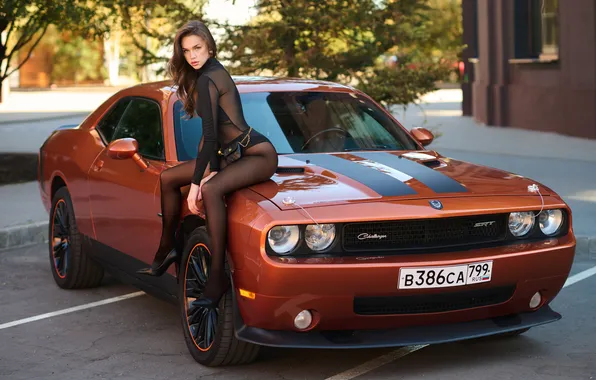 Machine, auto, girl, pose, tights, legs, Dodge Challenger, long hair