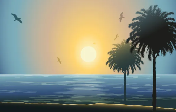 Picture sea, the sun, sunset, palm trees, seagulls