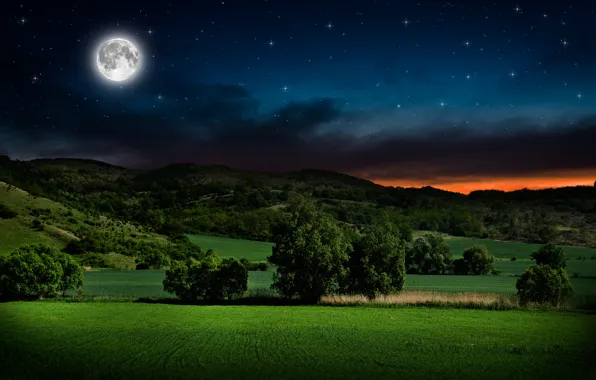 Picture stars, trees, landscape, night, hills, serenity, the moon, glow