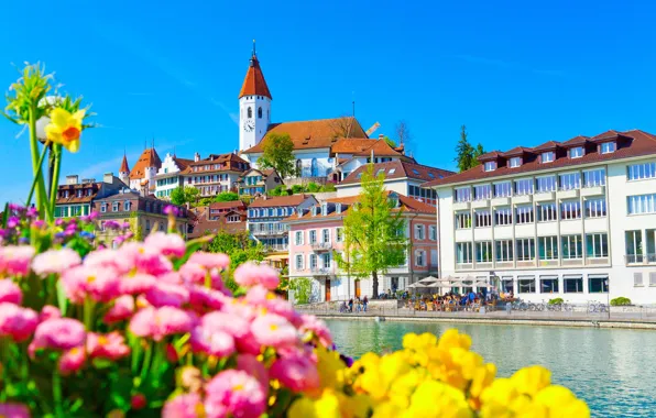 Flowers, river, building, home, Switzerland, promenade, Switzerland, Aare river