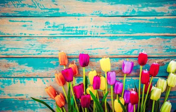 Picture flowers, Board, colorful, tulips, wood, flowers, tulips, grunge