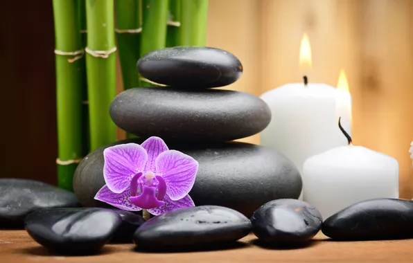 Candles, bamboo, Orchid, Spa stones