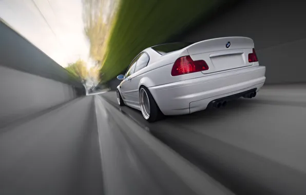 White, bmw, BMW, speed, blur, white, rear view, speed