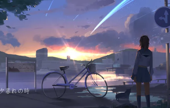 Road, bike, puppy, schoolgirl, sunset, road sign, sailor, from the back