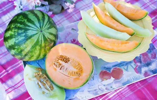 Picture table, food, watermelon, fruit, plate, still life, slices, melon