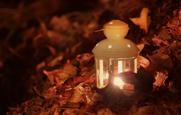 Picture autumn, leaves, light, lamp