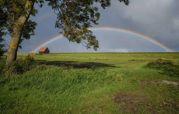 Picture house, photo, rainbow, meadow, Netherlands, Kreileroord