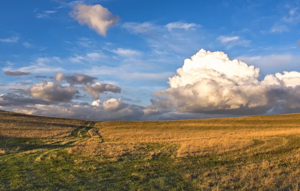 Road, field, the sky, clouds, line, nature, blue, blue