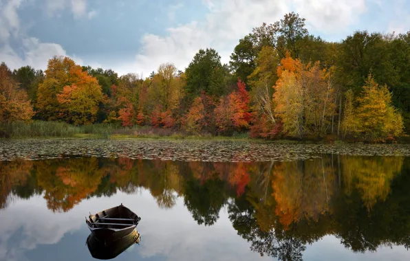 Autumn, lake, boat