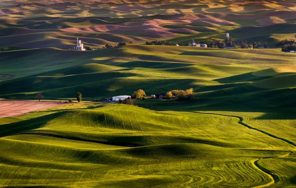 Picture hills, field, USA, farm, Steptoe Butte State Park