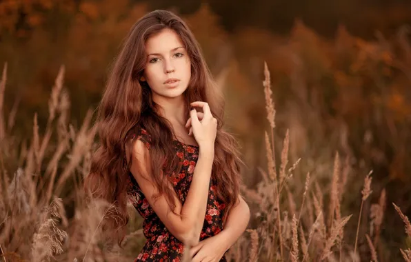 Picture girl, nature, dress, brown hair, grass, curls