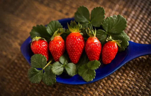 Berries, strawberry, spoon, red, blue, composition