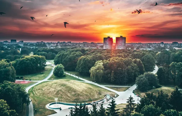 Lithuania, Kaunas, birds