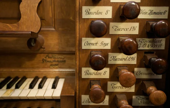 France, keyboard, Strasbourg, Cathedral, body