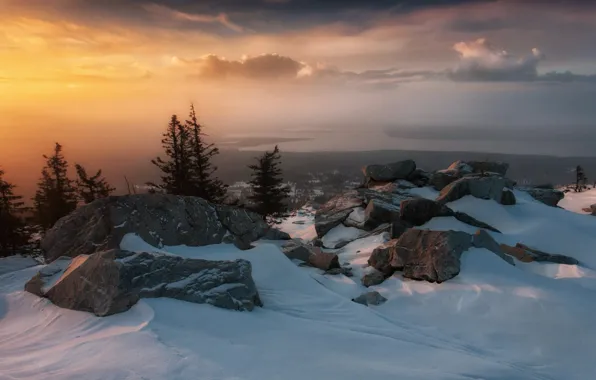 Picture winter, snow, trees, landscape, nature, fog, lake, stones