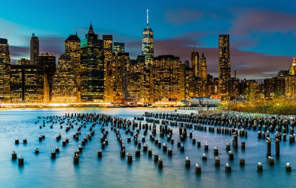 Birds, the city, lights, river, building, seagulls, New York, skyscrapers