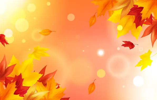 Autumn, light, lights, foliage, texture, orange background, falling leaves, maple leaves