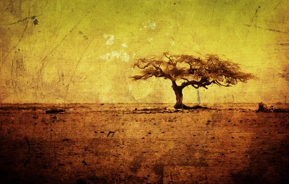 Picture trees, yellow, tree, figure, heat, minimalism, texture, dirt
