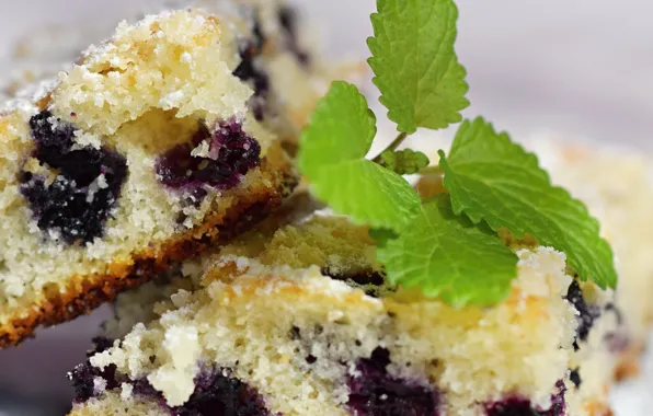 Picture blueberries, pie, cakes, powdered sugar, biscuit