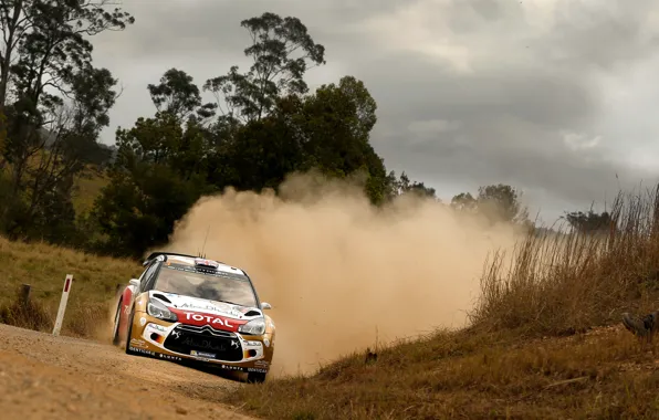 Dust, Citroen, Background, Citroen, DS3, WRC, Rally, Rally