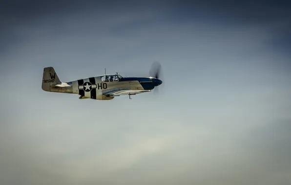 The sky, propeller, the plane, P-51C, Mustang Princess Elizabeth