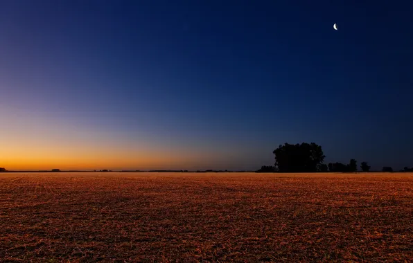 Picture field, the sky, sunset, the moon, the evening