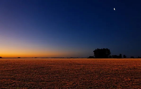 Field, the sky, sunset, the moon, the evening