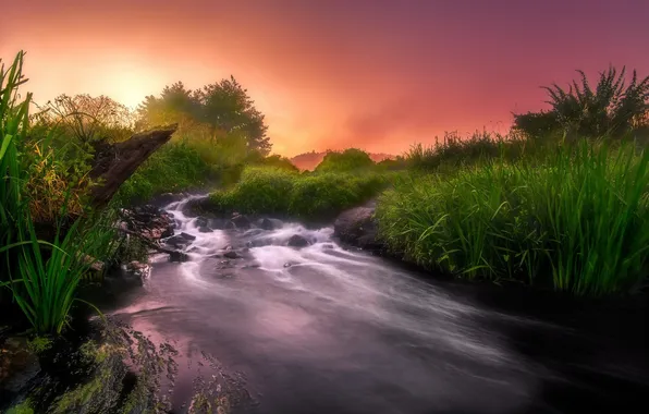 Picture sunset, nature, river