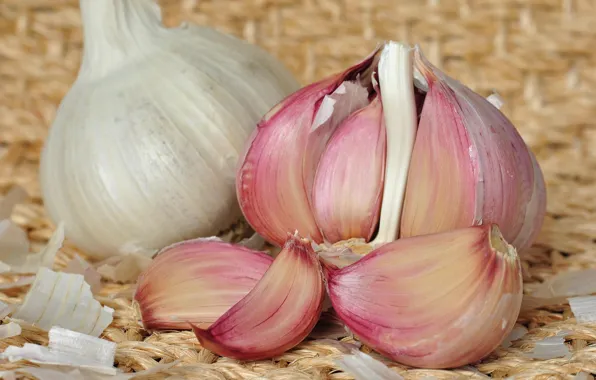 Garlic, seasoning, teeth