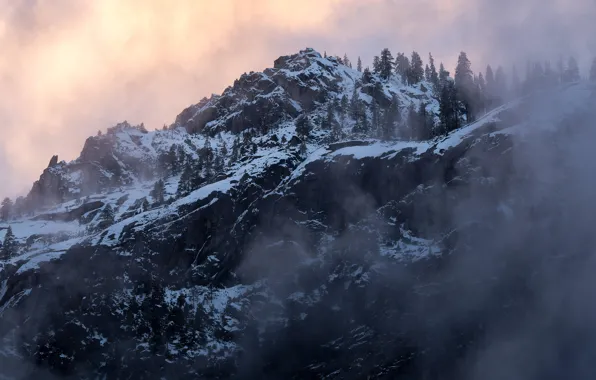 Picture winter, the sky, snow, trees, sunset, mountains, nature, fog