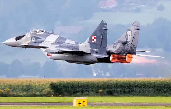 Fighter, The fast and the furious, The MiG-29, Polish air force