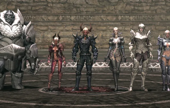 Race, Tera online, Castanic, Human, Popori, Aman, Baraka, Elin