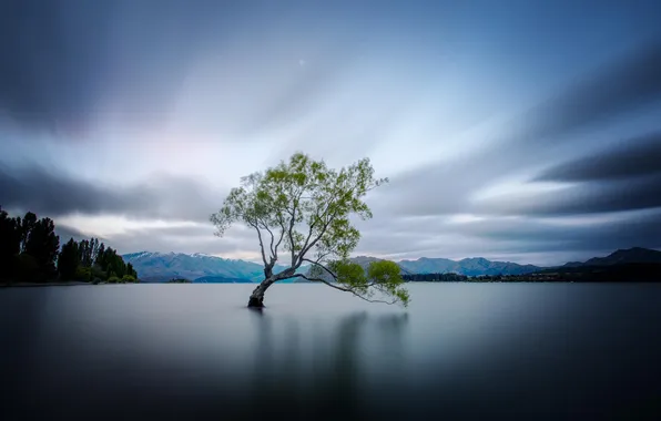 Picture nature, lake, tree, New Zealand