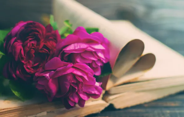 Vintage, wood, flowers, beautiful, peonies, purple, book, peony